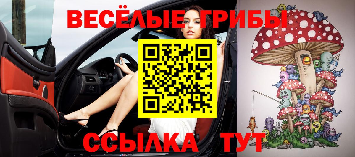Псилоцибиновые грибы ЛСД Петрозаводск