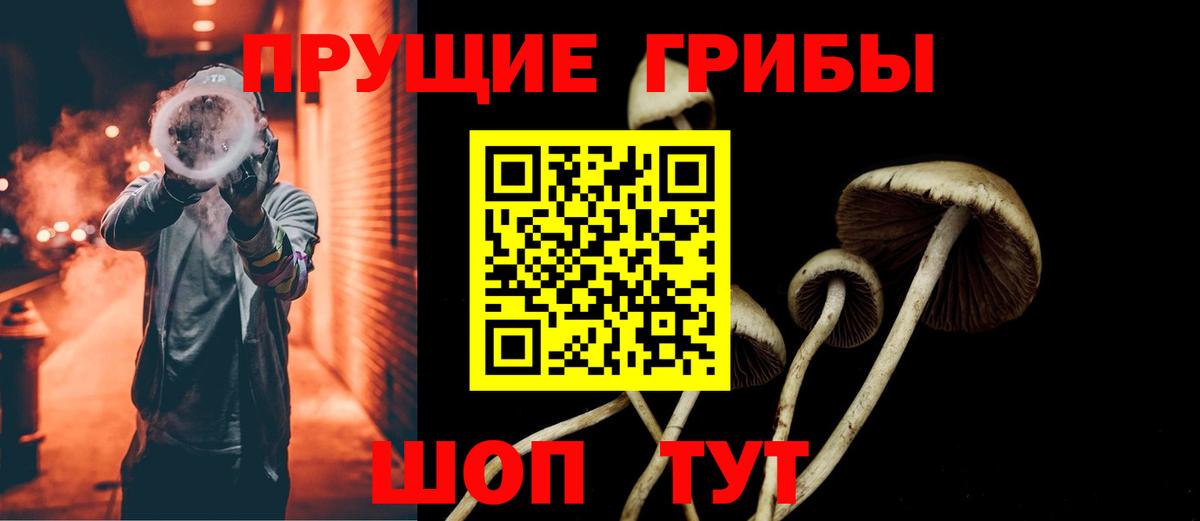 Псилоцибиновые грибы мицелий  Вход с VPN  Петрозаводск 